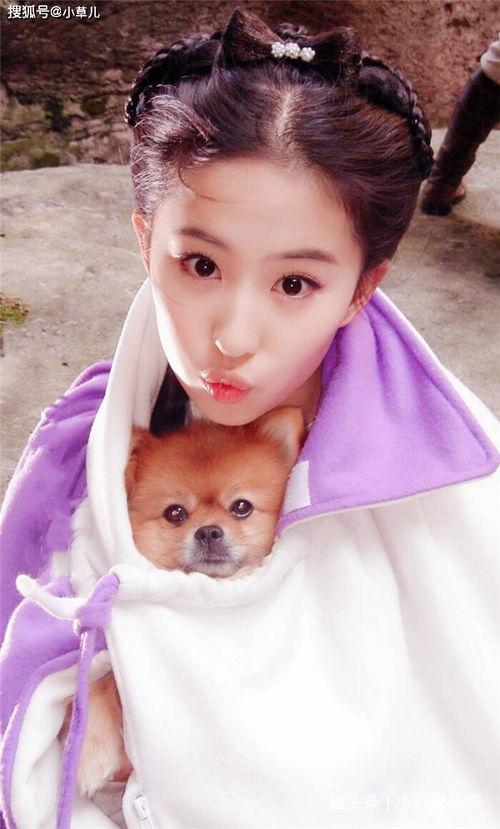 明星网红相似度排名,盘点那些让人傻傻分不清的颜值担当