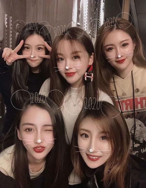 闺蜜女明星网红,跨界融合的璀璨星途揭秘”