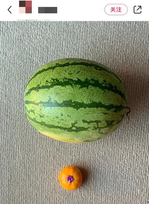 全球热门吃瓜网站有哪些,全球热门吃瓜网站大盘点