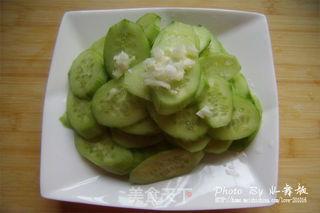 甘肃小乳瓜今日价格