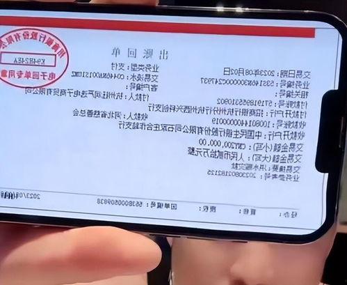 明星网红驰援涿州视频,明星网红助力涿州抗洪救灾”