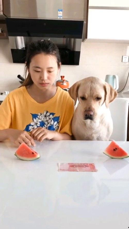 近期热门吃瓜视频有哪些,笑料百出，揭秘娱乐圈幕后故事