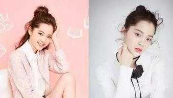 大理明星网红有哪些