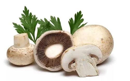 蘑菇视频吃瓜黑料,吃瓜黑料背后的真相大起底