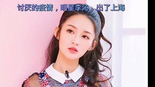 疫情时上海明星网红,逆行中的光与热