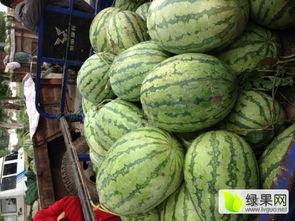 郴州今日瓜批发价,新鲜上市，价格亲民，市民抢购热潮来袭”