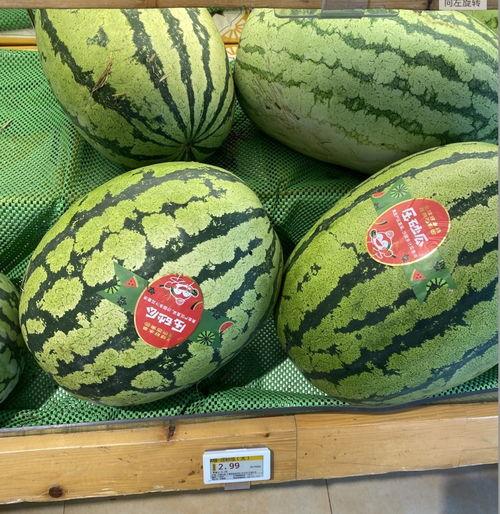 二瓜今日价格行情,价格波动解析与市场趋势洞察”