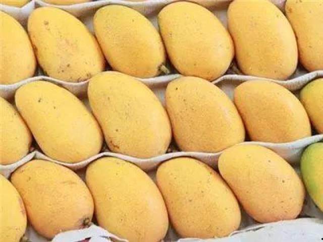 昆明今日土瓜价格多少,实惠之选，市民抢购热潮