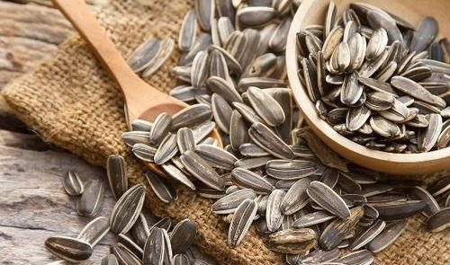 黑瓜子的子瓜可以吃吗,黑瓜子子瓜的食用价值与食用方法揭秘