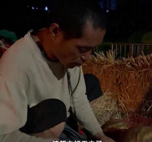 黑钻老头吃瓜看视频,吃瓜看视频，乐享晚年生活