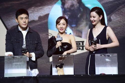 娱乐圈吃瓜爆料博主推荐,揭秘明星背后的惊人真相！