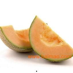 黄金哈密瓜今日价格