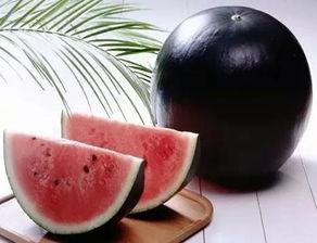 911吃瓜黑料,吃瓜群众背后的黑料真相