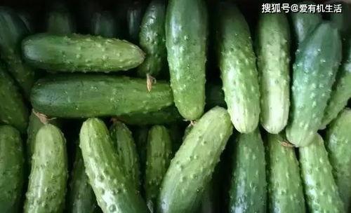 今日旱瓜价格表,市场行情一览