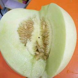 玉姑二瓜今日价格,价格行情一览”